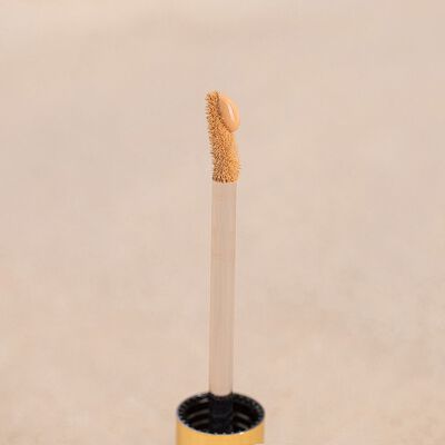 Aura Radiant Concealer